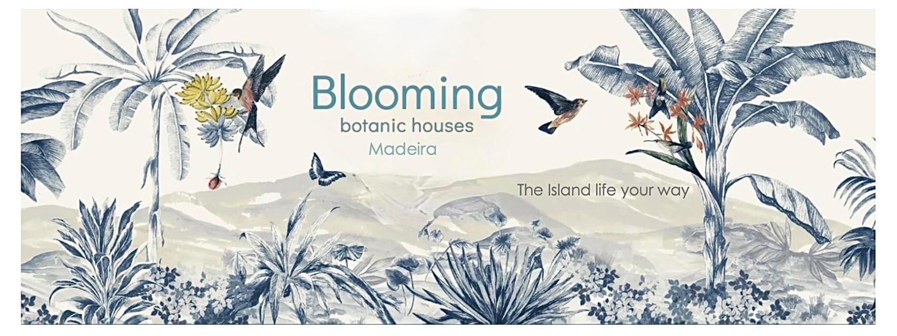 Blooming Botanic Houses Estreito Da Calheta Экстерьер фото