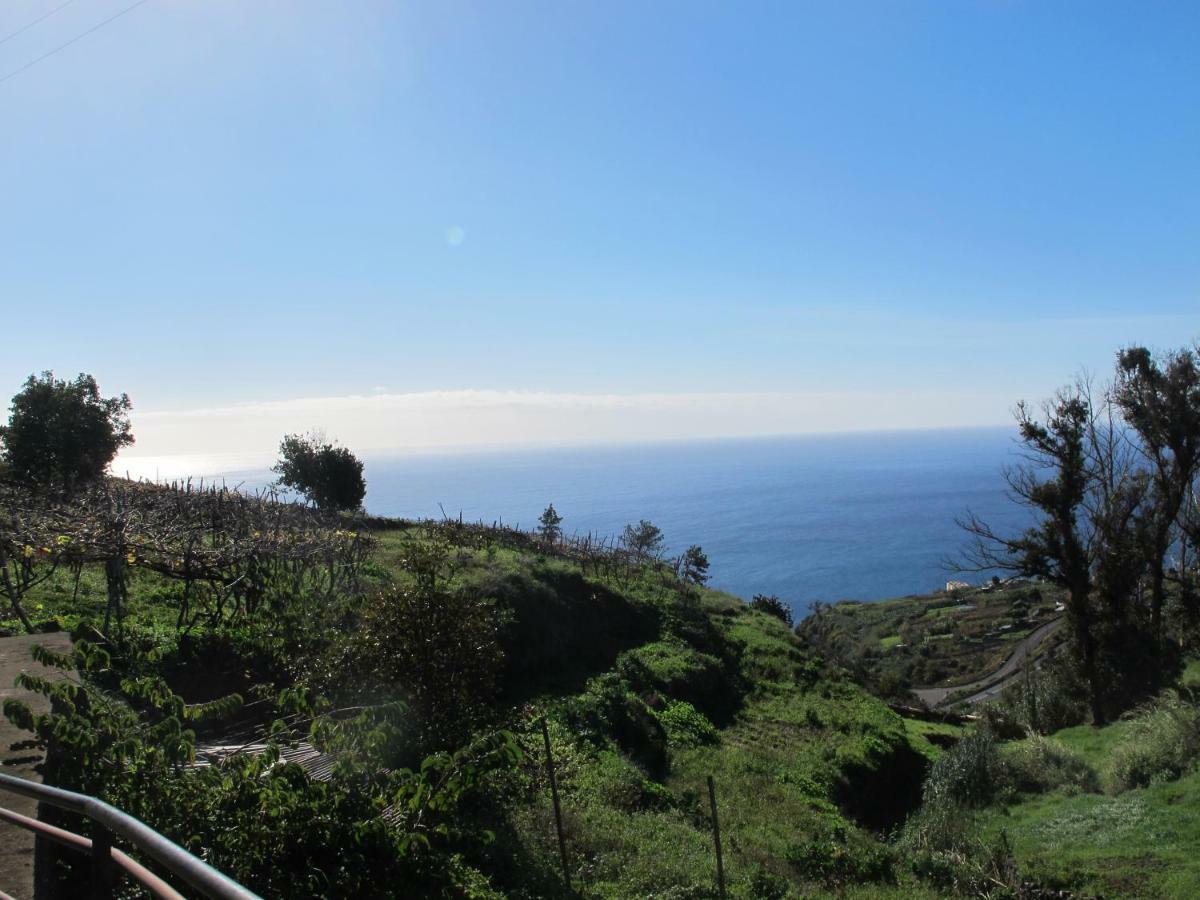Blooming Botanic Houses Estreito Da Calheta Экстерьер фото